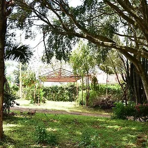 Afrique Paradis