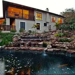 Dolphin's Umhlanga