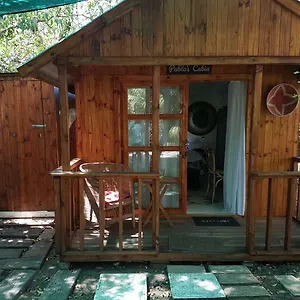Apartment Figtree Cabin *